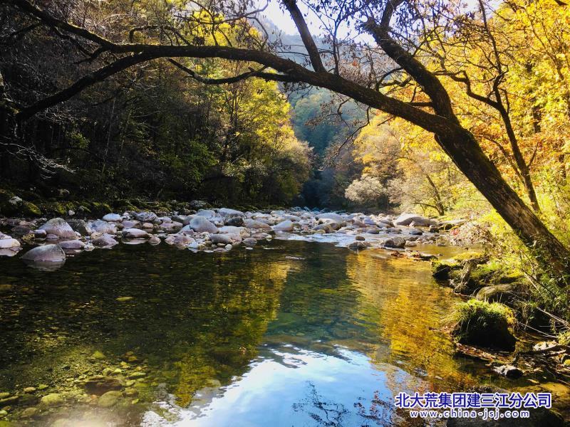 一溪秋影半林黄.jpg