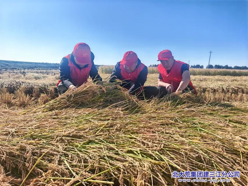 2026六区秋收时期照片 (1).jpg 2026六区秋收时期照片 (1).jpg