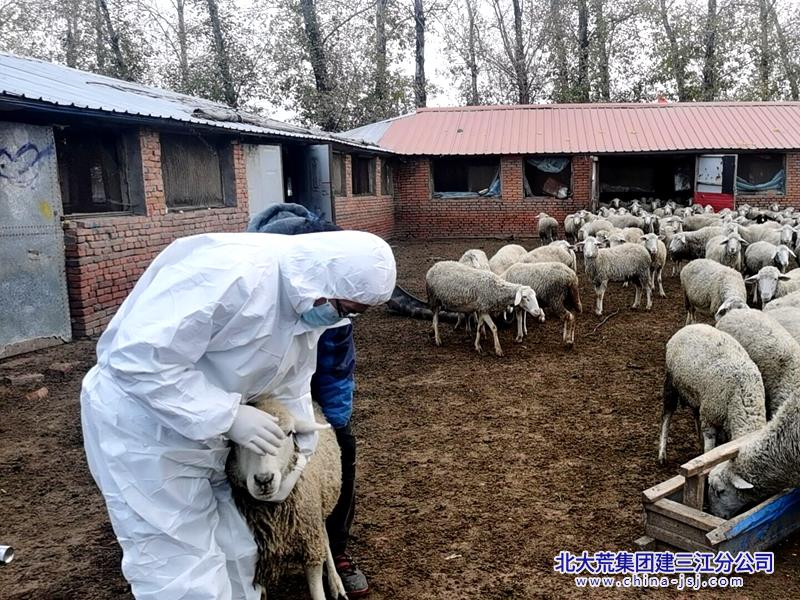 26e9d5a33caff64717e0b89ef928e77a_副本.jpg 26e9d5a33caff64717e0b89ef928e77a_副本.jpg