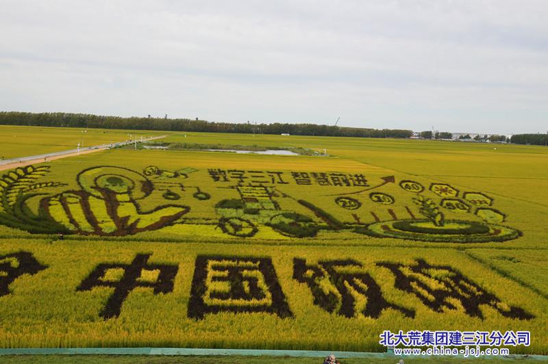 DSC_2415_副本.jpg
