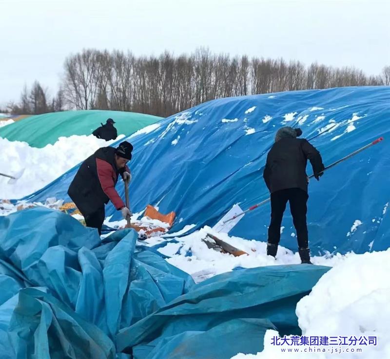 三江七区清雪1.jpg