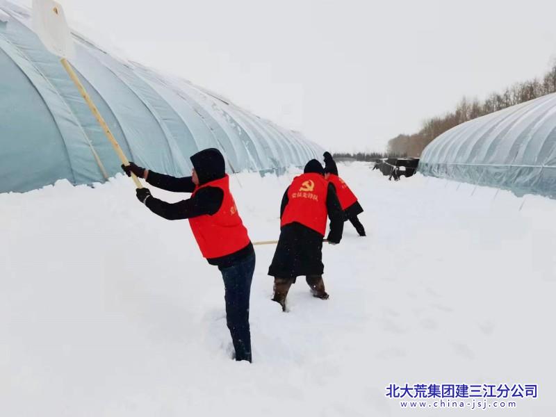 志愿者清大棚雪.jpg