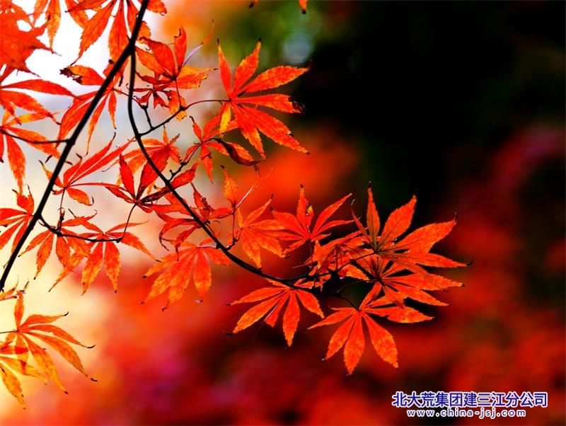 QQ图片20211104094456.jpg