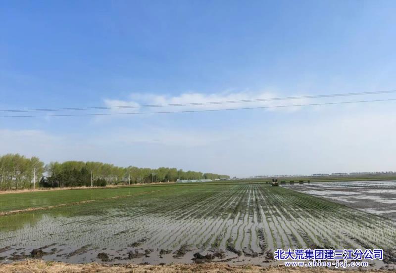微信图片_20260511071712_47_2.jpg