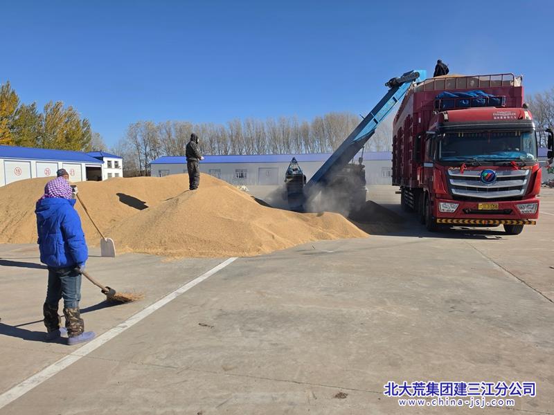 洪河农场第二管理区优化售粮服务 助推秋粮变现增收.jpg 洪河农场第二管理区优化售粮服务 助推秋粮变现增收.jpg