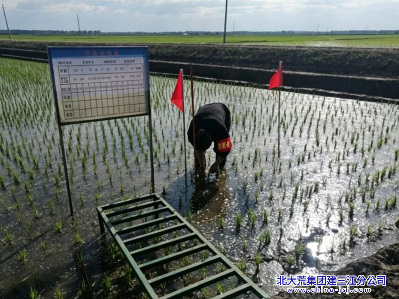 微信图片_20260601090749_副本800(1).png 微信图片_20260601090749_副本800(1).png