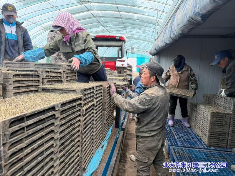 叠盘暗室 (4).jpg 叠盘暗室 (4).jpg