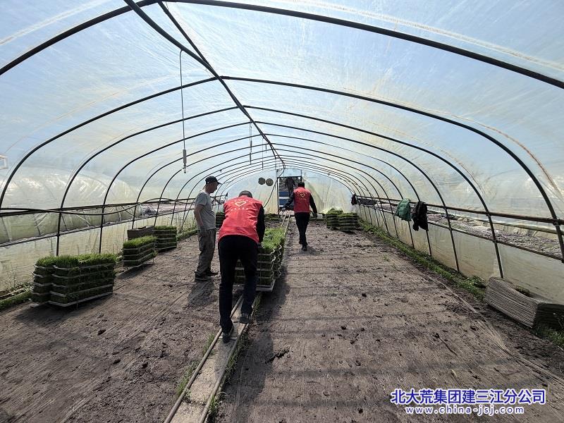 13.十三区志愿者2.jpg 13.十三区志愿者2.jpg