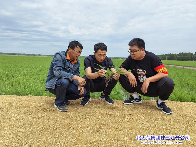 3_副本.jpg