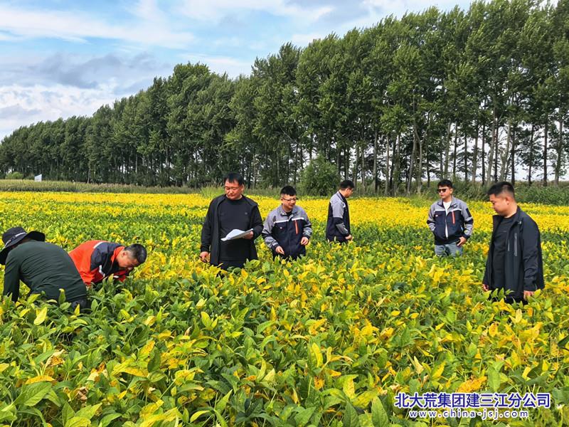 2026垦地合作理论测产_副本.jpg