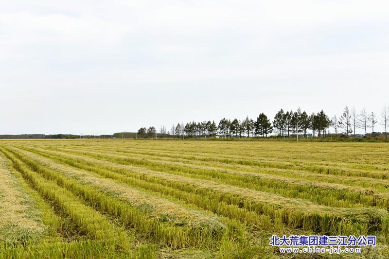 _DSC0368_副本.jpg