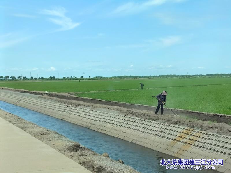 五边大棚环境治理800600 (1).jpg