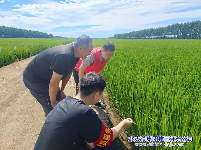 微信图片_20260730153407_339_116_副本.jpg 微信图片_20260730153407_339_116_副本.jpg
