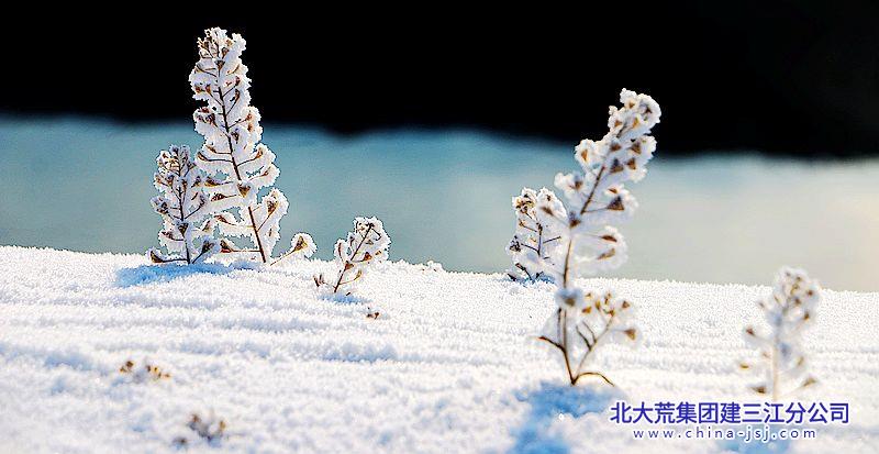 2019.12.21.1 130.JPG