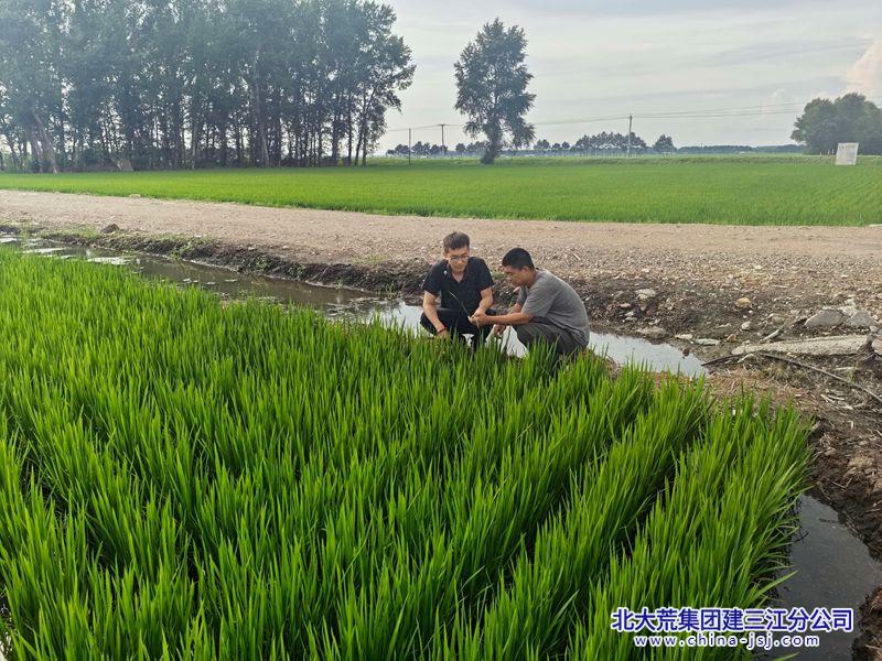 微信图片_20260710154029_540_18_副本.jpg 微信图片_20260710154029_540_18_副本.jpg