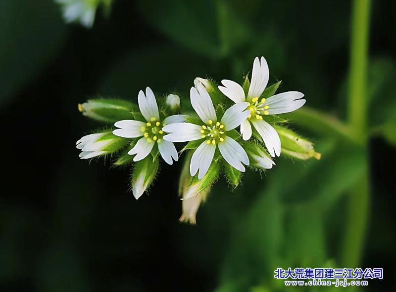 800 微信图片_20260422084528_229_338.jpg