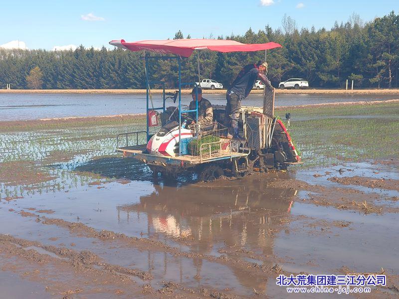微信图片_20260513085401_副本800.jpg