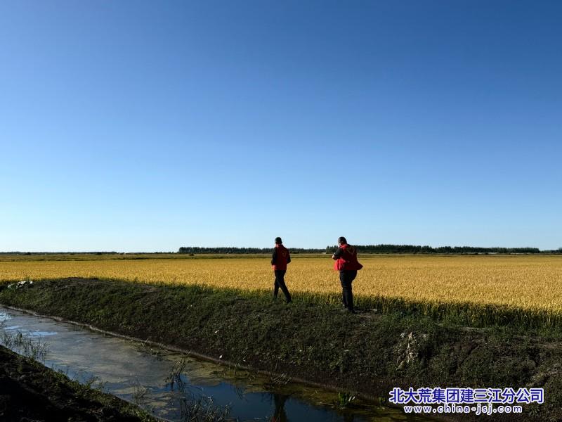 二区照片十一国庆 秋收党员志愿服务 (30).jpg 二区照片十一国庆 秋收党员志愿服务 (30).jpg