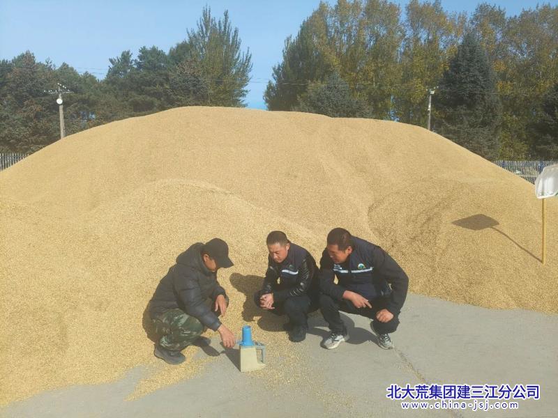 勤得利分公司第一管理区:精准监测粮食水分 筑牢粮食安全防线.jpg 勤得利分公司第一管理区:精准监测粮食水分 筑牢粮食安全防线.jpg