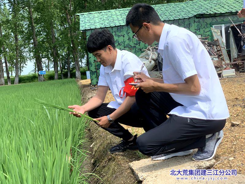 微信图片_20260713081749_1686_78_副本.jpg 微信图片_20260713081749_1686_78_副本.jpg