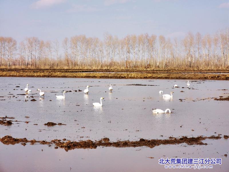 QQ图片20260413070549.jpg