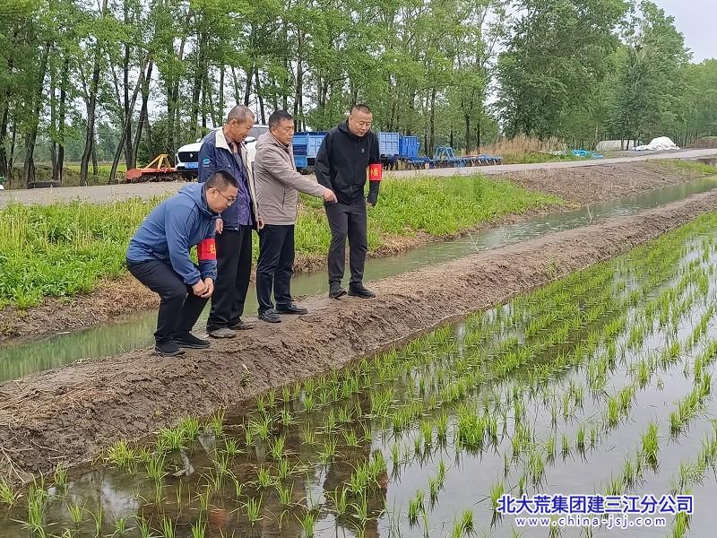 党员农技人员指导种植户田间管理.jpg 党员农技人员指导种植户田间管理.jpg