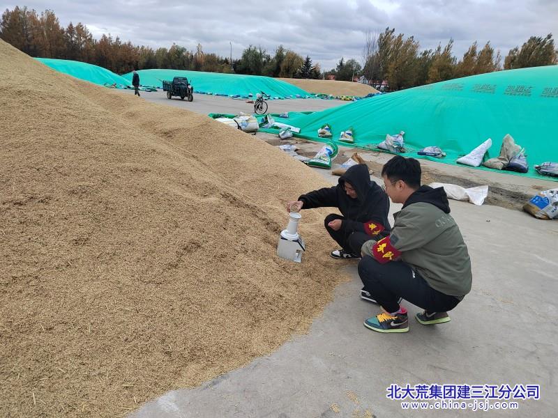 二区志愿者服务队助理秋收粮食安全 (62).jpg 二区志愿者服务队助理秋收粮食安全 (62).jpg