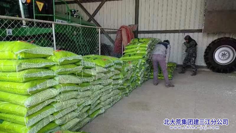 肥料落地入库存放.jpg