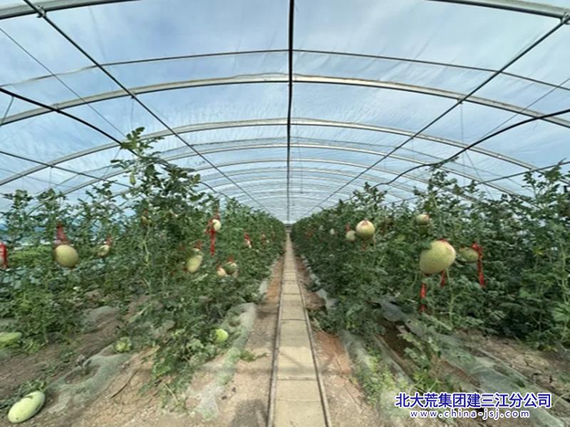 截图20250806083224.jpg