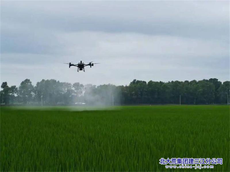 t04affc9640defee46a.jpg