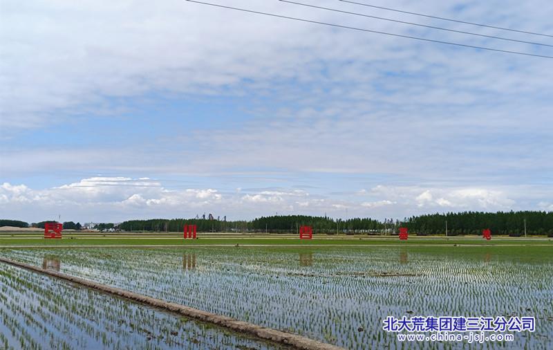 微信图片_20230605083444_副本.jpg 微信图片_20230605083444_副本.jpg