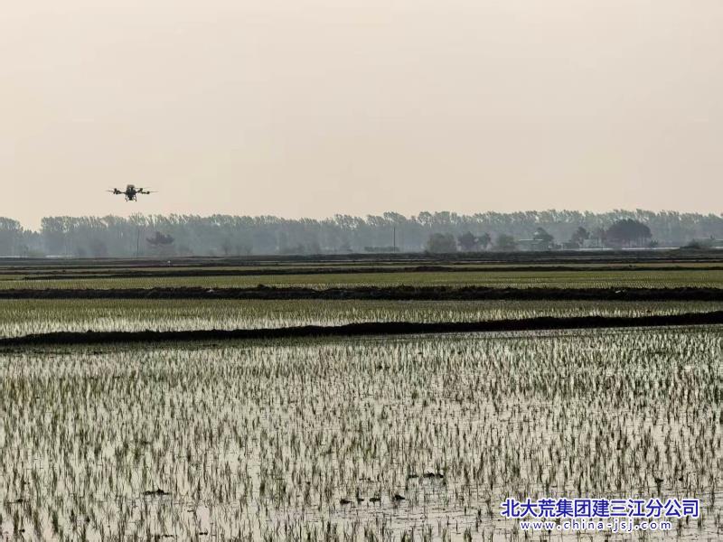 微信图片_20260525071751_388_156_副本.jpg 微信图片_20260525071751_388_156_副本.jpg