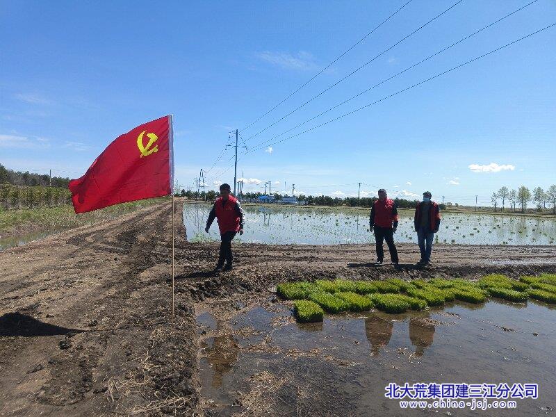 查看秧田准备情况.jpg
