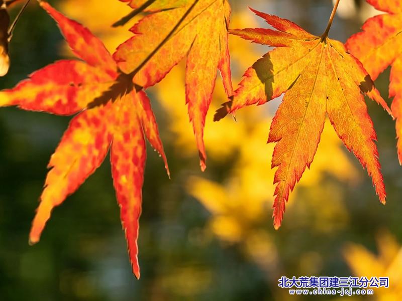 Cache_75fa68aaf69d9d2c_副本.jpg