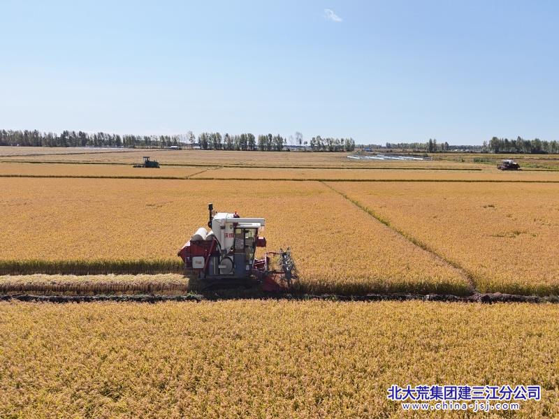 DJI_20250917094055_0154_D.JPG