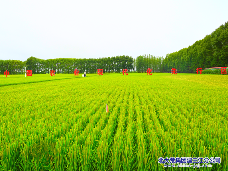 337a4f87aac0de977c373c4c35791a7e_副本.png 337a4f87aac0de977c373c4c35791a7e_副本.png