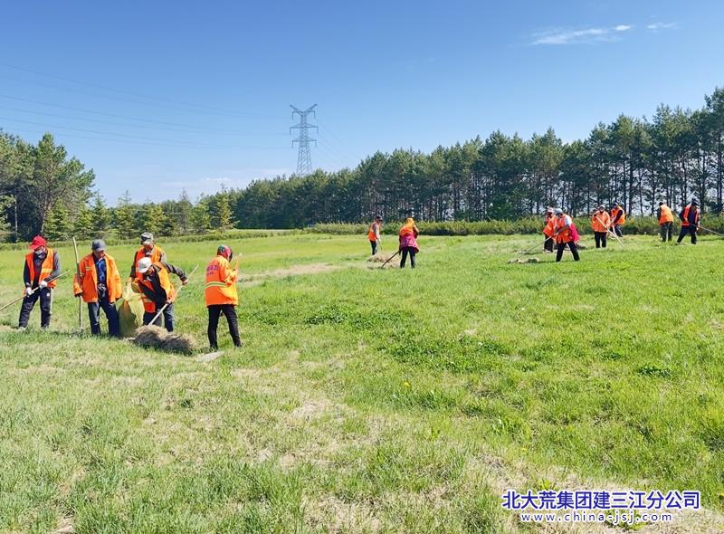 除草照片2.jpg