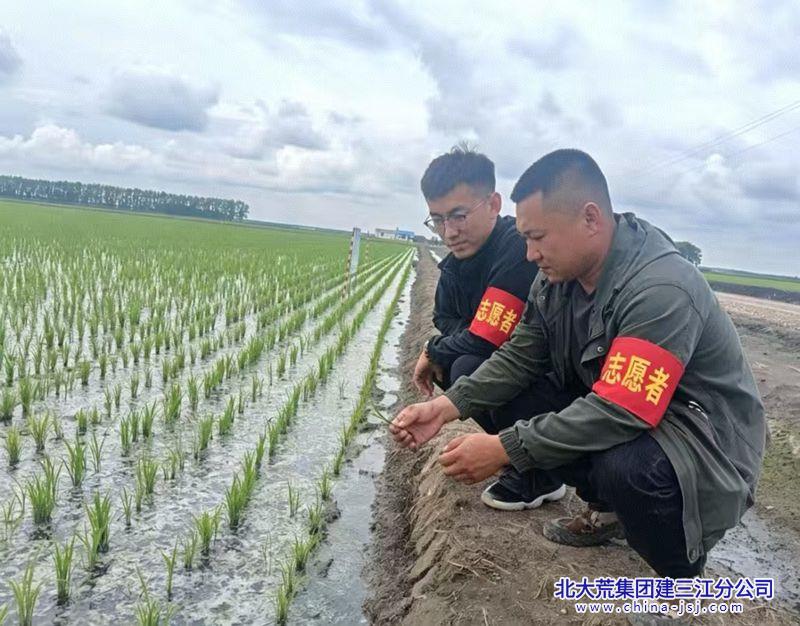 2624_副本.jpg
