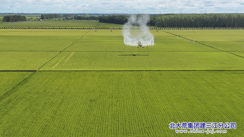 全面开展“一喷多促”施肥作业 摄影 万宝岑.bmp 全面开展“一喷多促”施肥作业 摄影 万宝岑.bmp