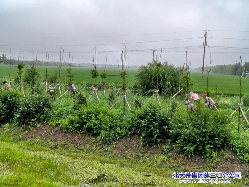 640_副本.jpg 640_副本.jpg