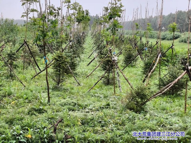 640 (1)_副本.jpg 640 (1)_副本.jpg