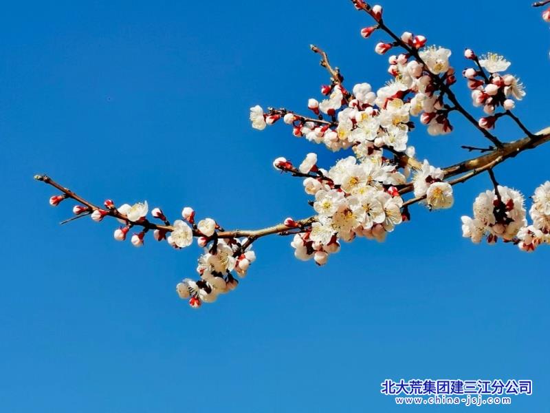 信息港.jpg