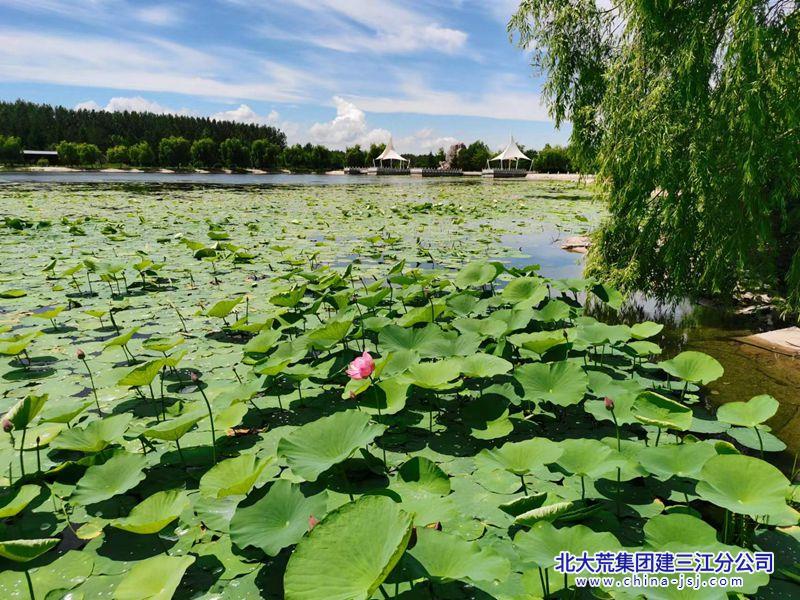 微信图片_20230818081813.jpg
