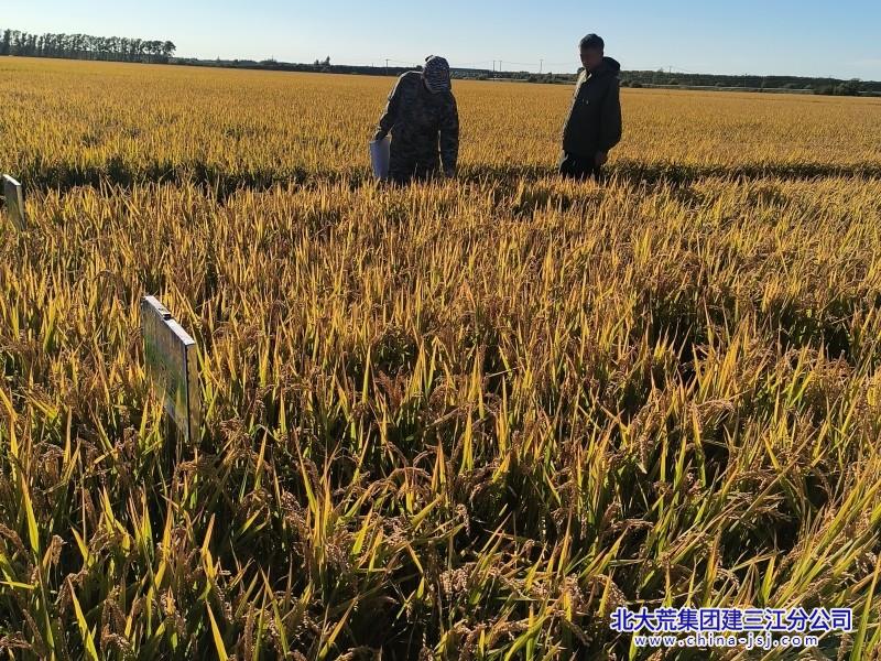 微信图片_20260916150557_副本.jpg