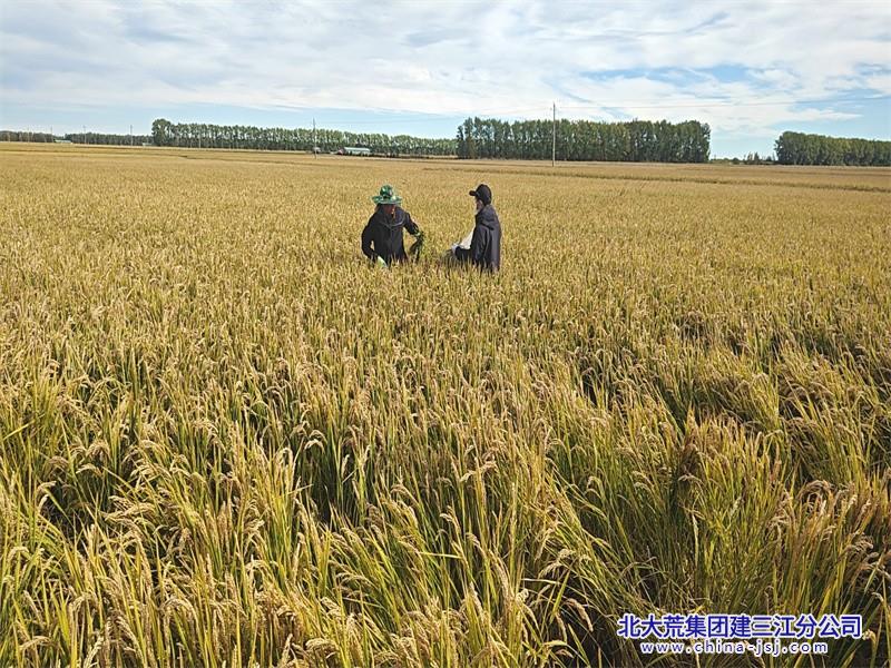 微信图片_20260923093330_8_620 - 副本.jpg 微信图片_20260923093330_8_620 - 副本.jpg