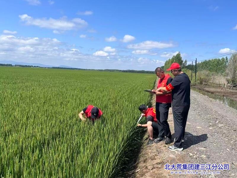 第二管理区工作人员田间踏查_副本_副本.jpg 第二管理区工作人员田间踏查_副本_副本.jpg