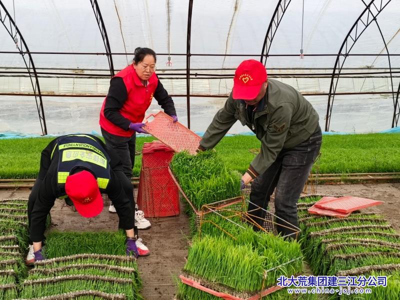 微信图片_20260512060114_39_8.jpg