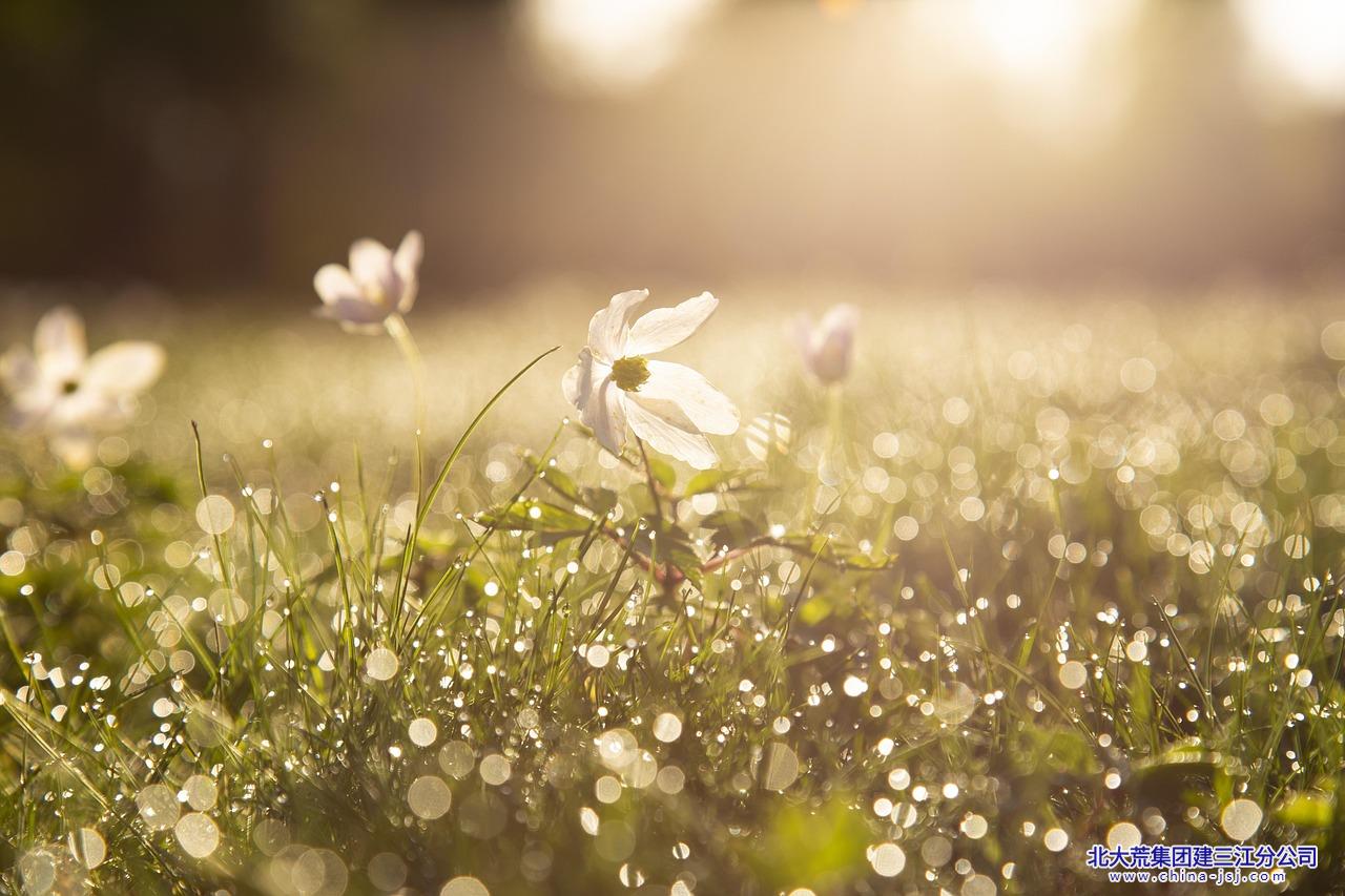 morning-4284120_1280.jpg