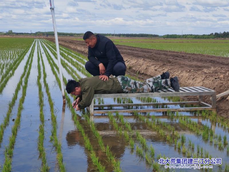 微信图片_20260602085718_189_56_副本.jpg 微信图片_20260602085718_189_56_副本.jpg
