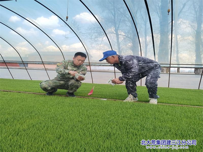 微信图片_20260508081614_611_58.jpg
